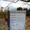 도화초등학교 앞 이미지