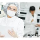 더 베스트 행정사사무소 이미지