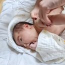 60계치킨 (수유점) | [일상]1226_띄용이 태어난 24년 한해 마무리