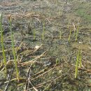 석산농장 이미지