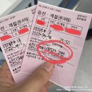 [울릉도여행] 포항에서 크루즈(뉴씨다오펄호) 타기&amp;후기