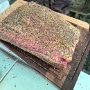 연천-2 | 경기도 연천 스톤브룩 캠핑장🏕️ | 사이트 B-28 후기 | 1박2일 캠핑🌿