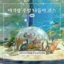 상동호수공원 | 부천 아기랑 갈만한 플레이아쿠아리움 상동호수공원 후기