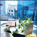 춤이 있는 무용학원 이미지