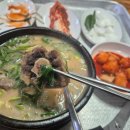 씨티한방병원 | 울산 해장국 로컬맛집 시티병원 근처 맛집 ‘할매속좀풀자’ 후기