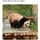 돈워리비해피 이미지