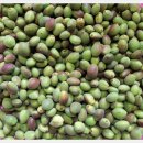 [마감] ★★ 돌복숭아10kg 무료 이벤트(3분께)★★ 이미지