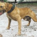 메이데이 이미지