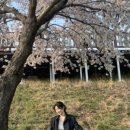엘로ello 이미지