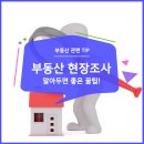 두리의 현장조사 잘하는 법 이미지