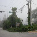 한남해룡지맥 1구간(지맥 분기점-마국산-마오산-돈이울고개-정오산-해룡산-아미사거리) 이미지