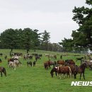 재현축산 이미지