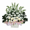 여행사진작가 이미지