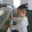 (주)동화수산