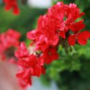 팔공산온천관광호텔 이미지