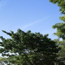 중문진실캠핑장 이미지