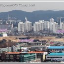 수원-0987 티스토리