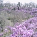 원미공원 이미지