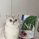 닭고기 | 파미나 N&D 프라임 캣 닭고기&석류 급여후기 / 기호성좋은 입문용 고양이 사료 추천