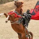 더마파크 공연장 이미지