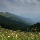 마지기로 이미지