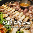 경산 옥산동 구워주는 숙성고기 꽃돼지삭당 경산