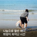 나눔으로 열린 바다, 희망이 피어난 시간 - 해양문화나눔 참가자 후기