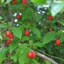 금곡영화마을 이미지