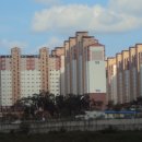 부영메디칼 이미지