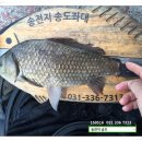 이 동 (송전) 이미지