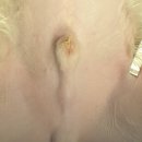 어울동물의료센터 이미지