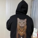 무궁 세탁 | 내 마음대로 골라 만드는 디자이너스 베이!고양이 얼굴 박은 후드집업 제작 솔직 후기!