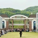 새곳처럼 이미지