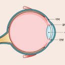 파크동물의료센터 이미지