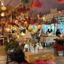 바둑이농장 이미지