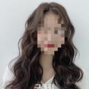 바미살롱 이미지