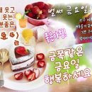 우리인생을명품으로멋지게살아요 | 우리 인생을 명품으로 멋지게 살아요 ~ !