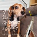 [강아지 관리템] 레브에뜨 치석제거기, 노령견도 마취 없이 셀프 스케일링 가능할까?