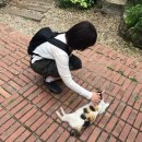 이애와 경신 공주 묘 | 현생 도피처 in 공주
