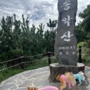 또백이식당 | 강아지랑 송악산 둘레길 탐방 도민 추천 맛집 후기