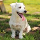 남원동물병원 이미지