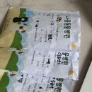 최재호 한방동물병원 | 🩺 강아지 허리디스크·강아지 침치료 | 두암한방동물병원