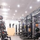 머슬그로우짐 이미지