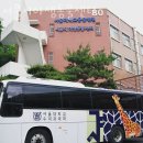 서울시 야생동물센터 | 관악구 신림동 동물병원 서울시야생동물센터 위치 오는길 후기