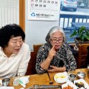 양양초등학교 Daum카페