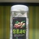 웰빙시대건강백화점