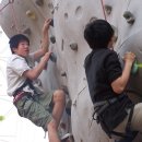 아르피나 이미지