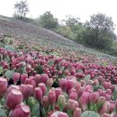 유태농장 이미지