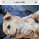 관악연세공감치과의원 네이버블로그
