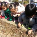 추경농장 이미지